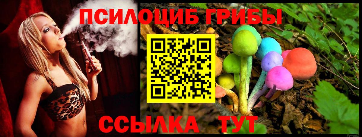 Псилоцибиновые грибы Cubensis  Вход с VPN  Топки 